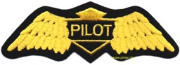 Bild von Pilotenabzeichen Wings Abzeichen gelb