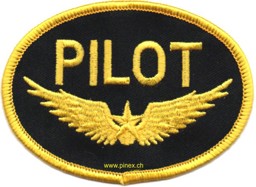 Bild von Piloten Abzeichen Patch oval