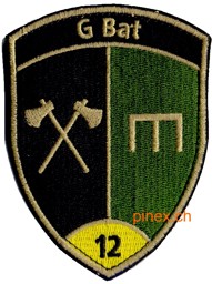 Bild von G Bat 12 Genie Bataillon 12 gelb mit Klett