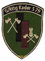 Bild von Genie Rttg Kader S 79 mit Klett Armeeabzeichen