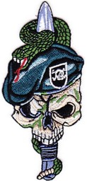 Bild von US Army Special Forces Skull Abzeichen 