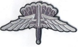 Bild von Airborne HALO Basic Jump Abzeichen Wing Auszeichnung