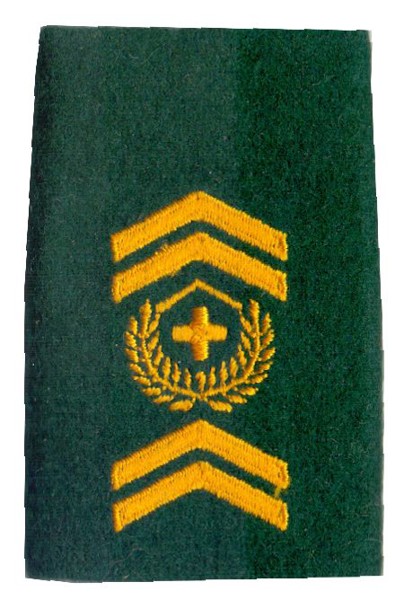 Image de Sergent-major insigne de grade passants dépaule troupes d'artillerie,  prix pour 1 pièce