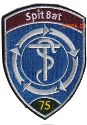 Bild von Spital Bataillon 75 Badge grün ohne Klett dunkelblau