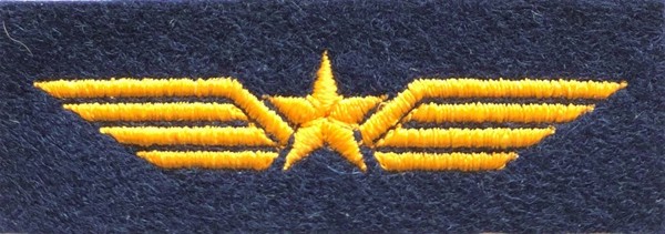 Bild von Bordoperateur Abzeichen Schweizer Luftwaffe ohne Klett