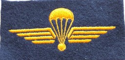 Bild von Fallschirmaufklärer Abzeichen Schweizer Luftwaffe ohne Klett