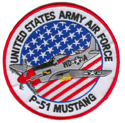 Bild von P-51  Mustang United States Air Force 120mm