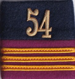 Immagine di Hauptmann Rangabzeichen Schulterpatte  Logistik Einteilung Luftwaffe 54. Preis gilt für 1 Stück 