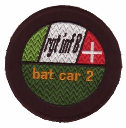 Bild von Rgt Inf 8 Bat Car 2 braun