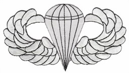 Bild von Fallschirmspringer Airborne Basic Jump Wings Abzeichen