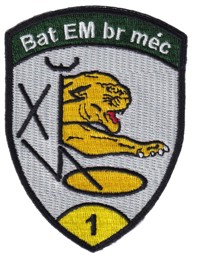 Bild von Bat EM br méc gelb,  Badge ohne Klett