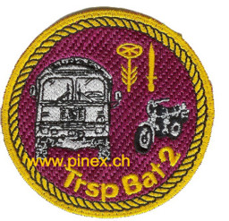 Bild von Transportbataillon 2 gelb Armee 95 Abzeichen