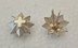 Bild von Generalssterne Silber der Schweizer Armee mit leichten Gebrauchsspuren