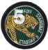 Bild von FDIV 5 Stabsbat Stabskp 5 Armee 95 Badge