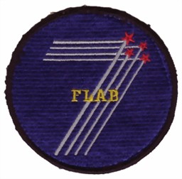 Bild von Fliegerabwehr FLAB Abzeichen
