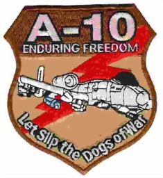 Bild von A-10 Thunderbot Enduring Freedom Badge