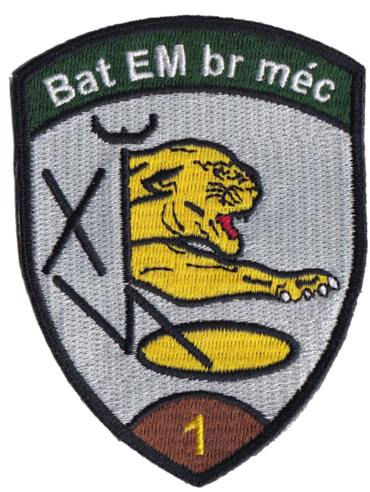 Bild von Bat EM br méc braun,  Badge ohne Klett