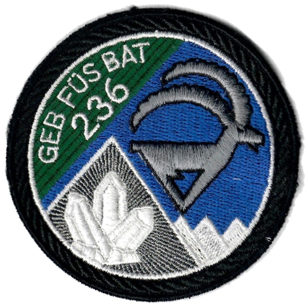 Bild von Geb Füs Bat 236 schwarz Armee 95 Badge