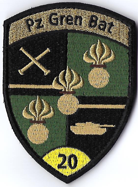 Immagine di Panzer Grenadier Bataillon 20 gelb mit Klett
