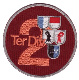 Bild von Ter Div 2 Armee 95 Badge