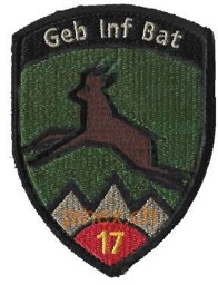 Bild von Geb Inf Bat 17 Gebirgsinfanterie Bataillon 17 rot mit Klett Badge
