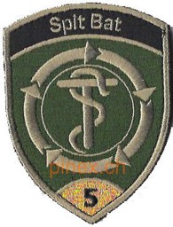 Bild von Spital Bataillon 5 gold mit Klett Armeebadge
