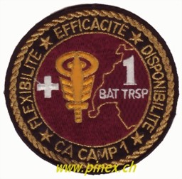 Bild von BAT TRSP 1 Badge Motfahrer Armee 95 Abzeichen