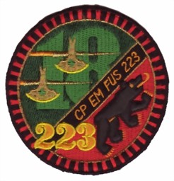 Picture of Füs Bat 223 CP EM Füs 223 Armee 95 Badge. Territorialdiv 1, Territorialregiment 18.