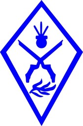 Bild von Infanterie Truppengattungsabzeichen 