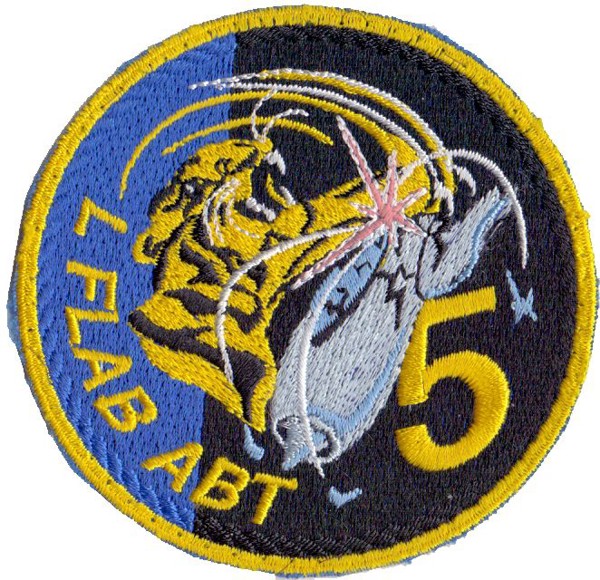 Picture of L Flab Abt 5 Badge Schweizer Fliegerabwehr