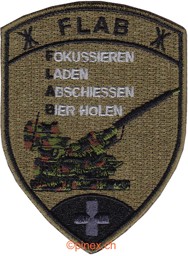Bild von Fliegerabwehr Badge Tarn