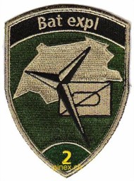 Bild von Bat expl 2 grün mit Kleet Badge Armée Suisse