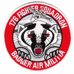 Bild von 176 Fighter Squadron Abzeichen 