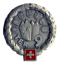 Bild von Territorialdivision 9 Insigne Béret Armée Suisse