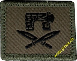 Bild von Werksicherheitssoldat Funktionsabzeichen Armee 21