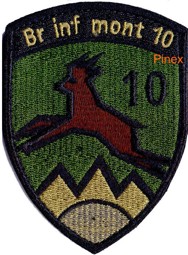 Bild von Br inf mont 10 gold mit Klett, mit Ziffer 10 im Badge