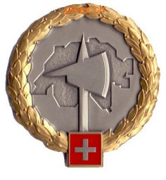 Bild von Armeetruppen gold Béretemblem