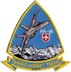 Picture of Swiss Hornet Team Patch