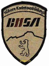 Bild von BUSA Berufsunteroffizierschule Abzeichen mit Klett Badge