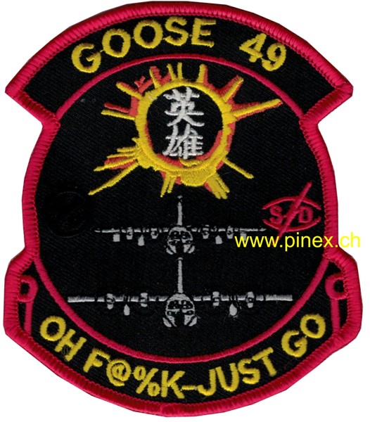 Picture of 1st Special Operations Squadron "Goose 49" Talon II
