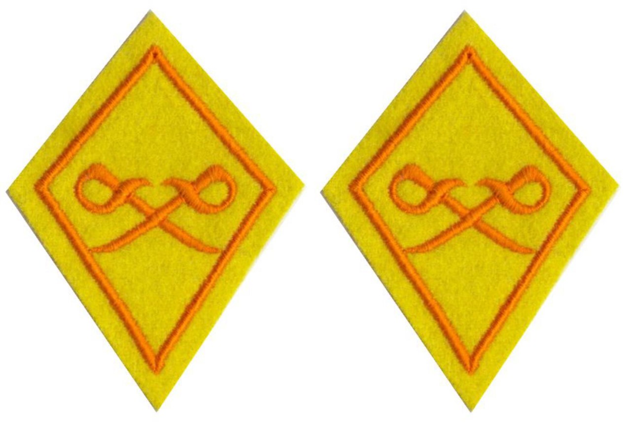 Kragenspiegel Dragoner der Schweizer Armee. Pinex Badges Armeeabzeichen sticken ...1280 x 881